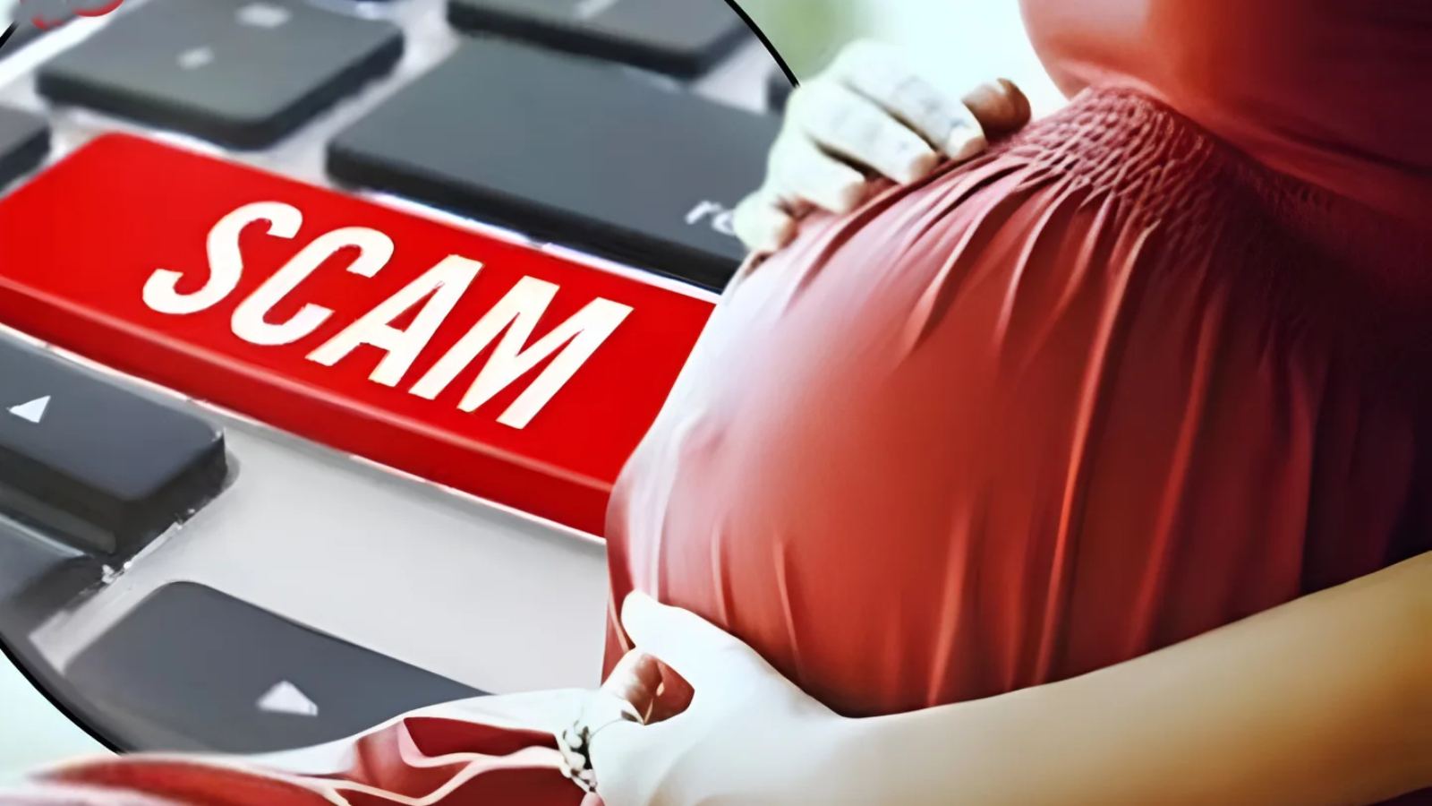 Bihar job scam police investigation