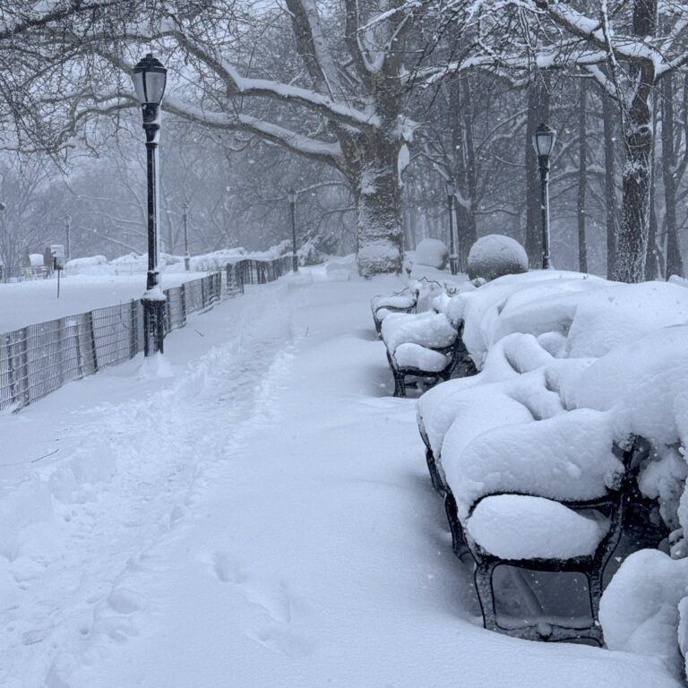 Blizzard Leaves New York Paralyzed