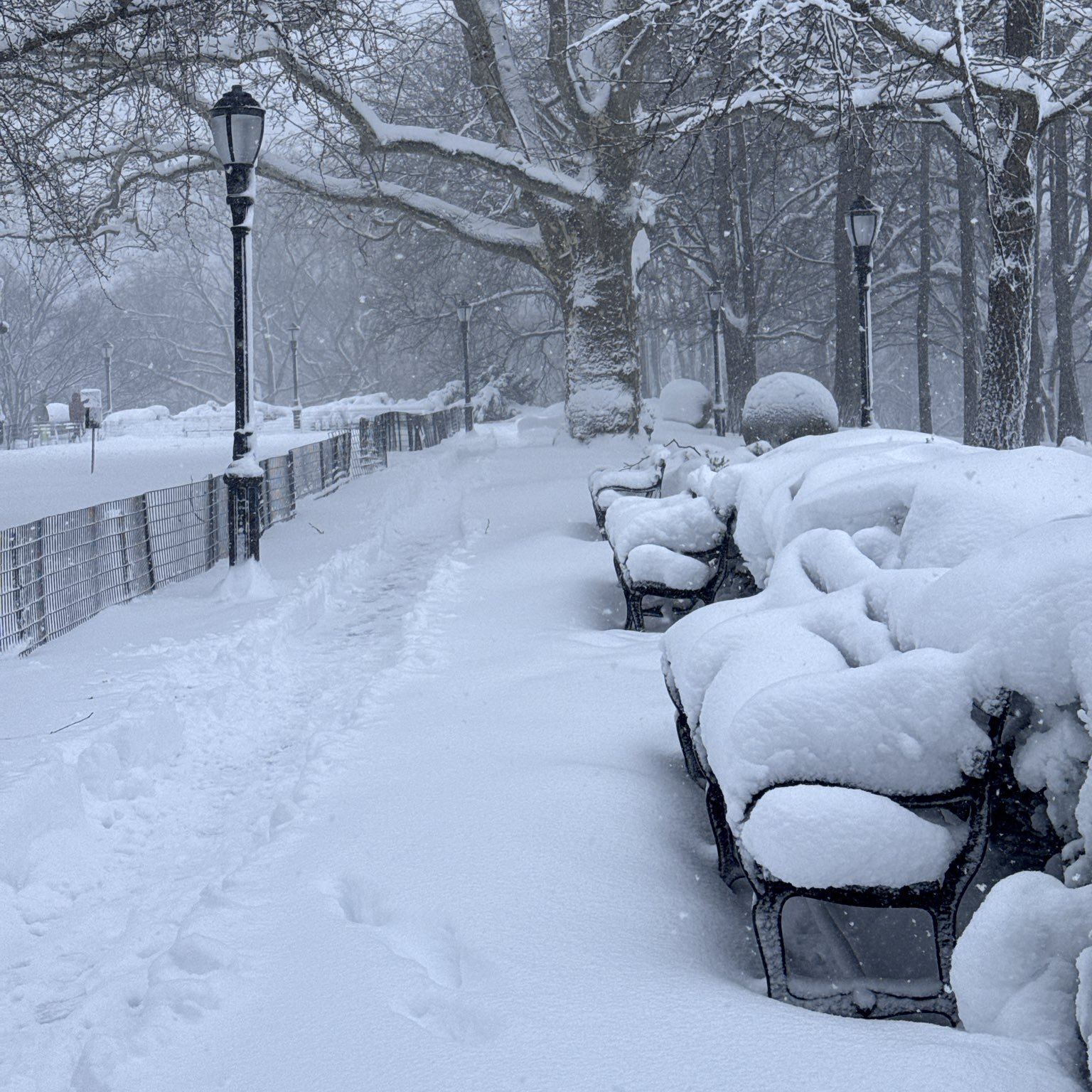 Photos: Blizzard Leaves New York Paralyzed