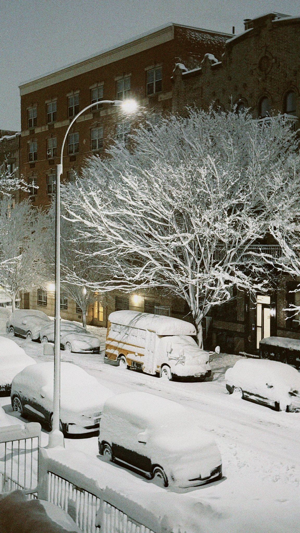 Blizzard Leaves New York Paralyzed