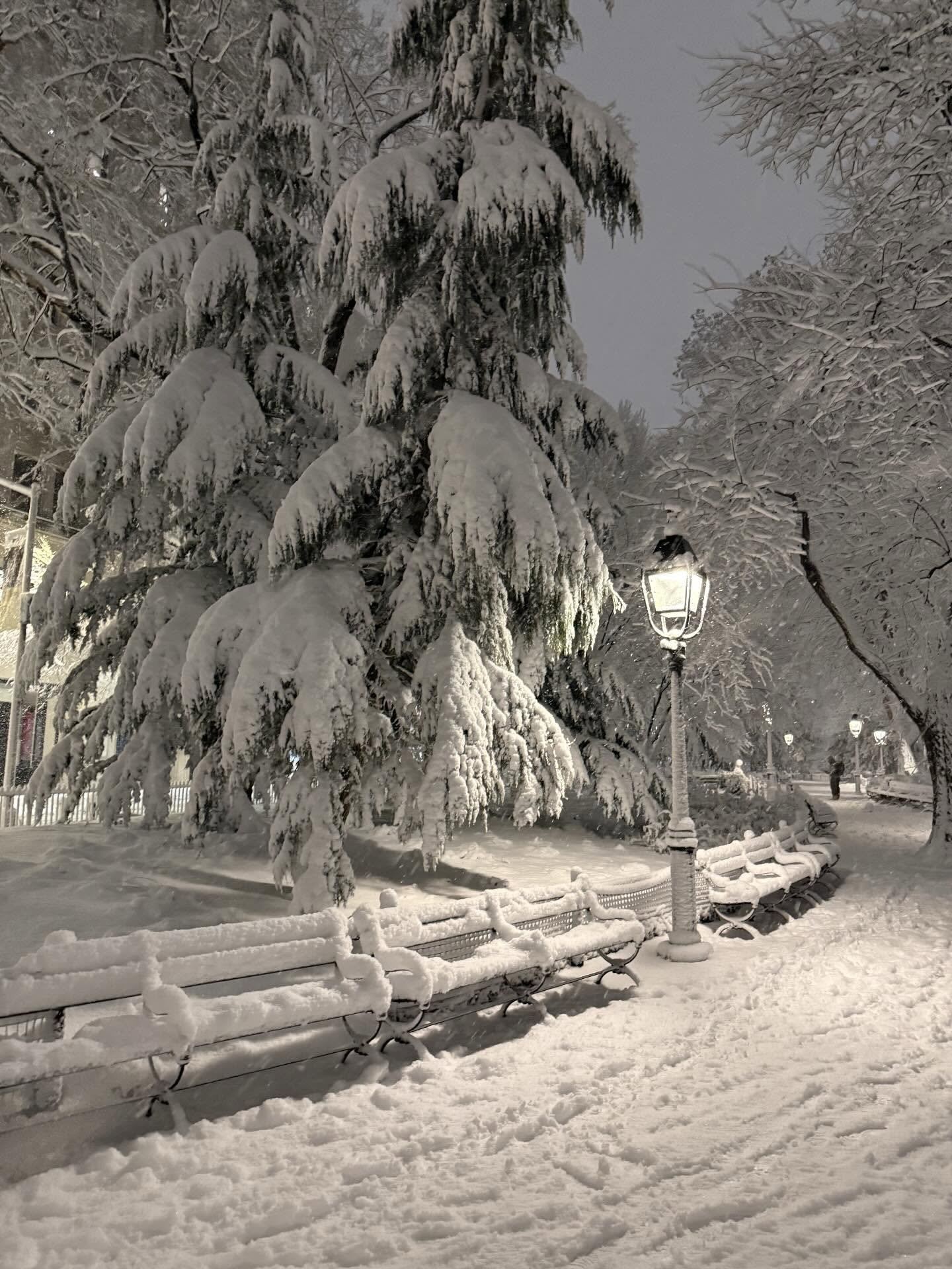 Blizzard Leaves New York Paralyzed