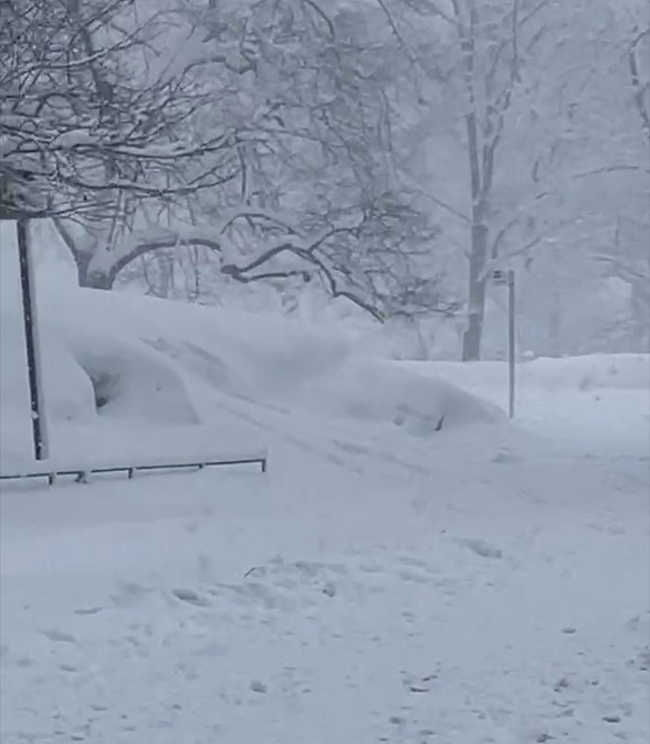 Blizzard Leaves New York Paralyzed