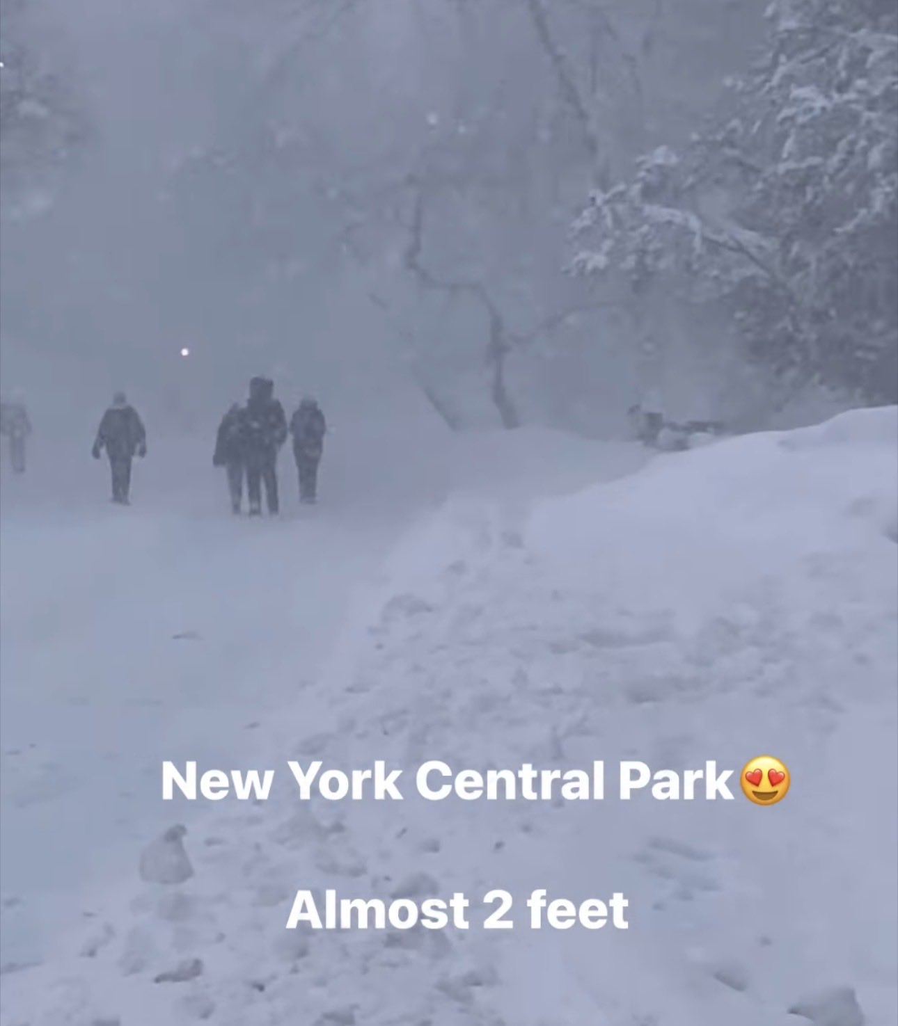 Blizzard Leaves New York Paralyzed