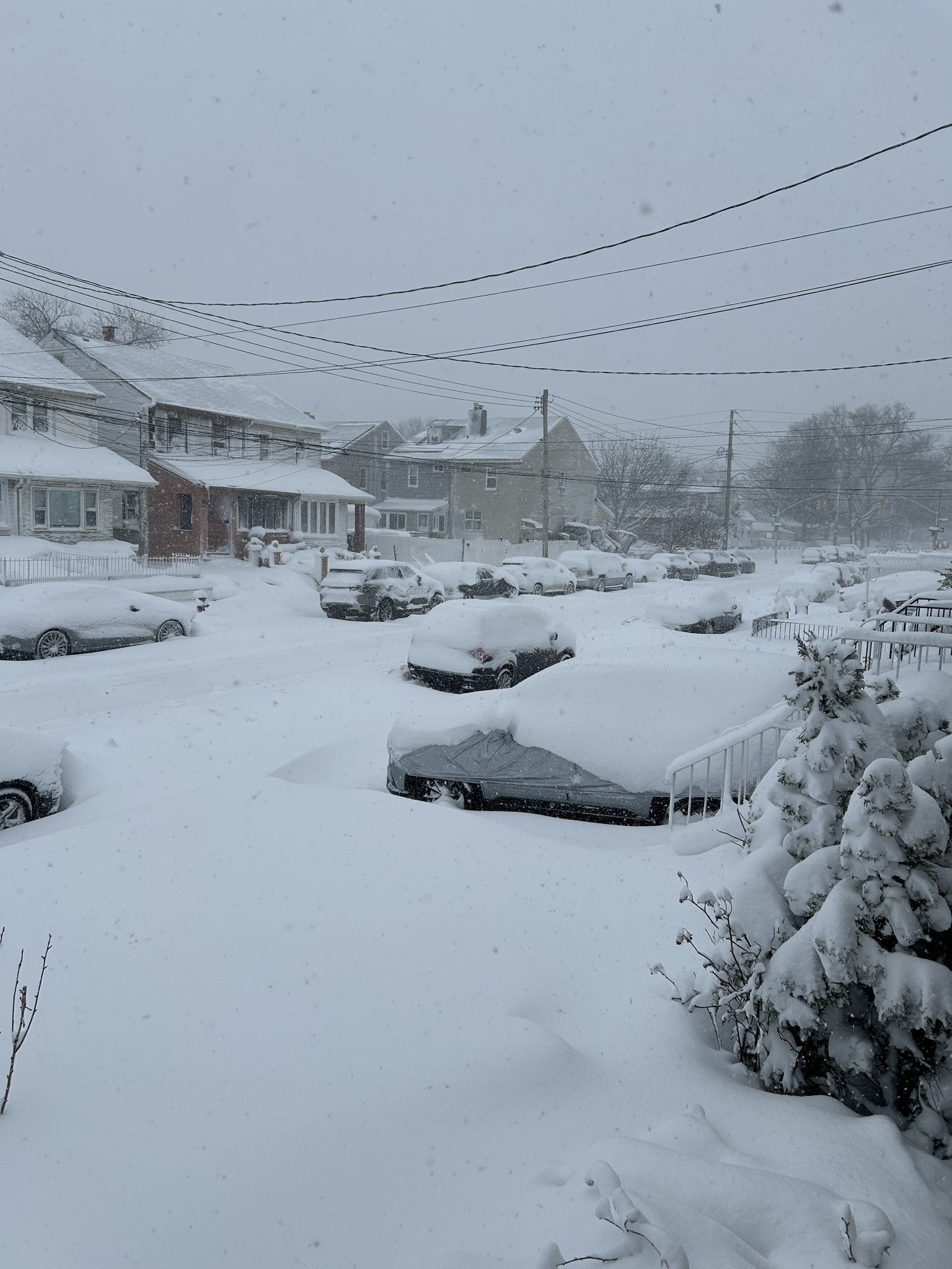 Blizzard Leaves New York Paralyzed