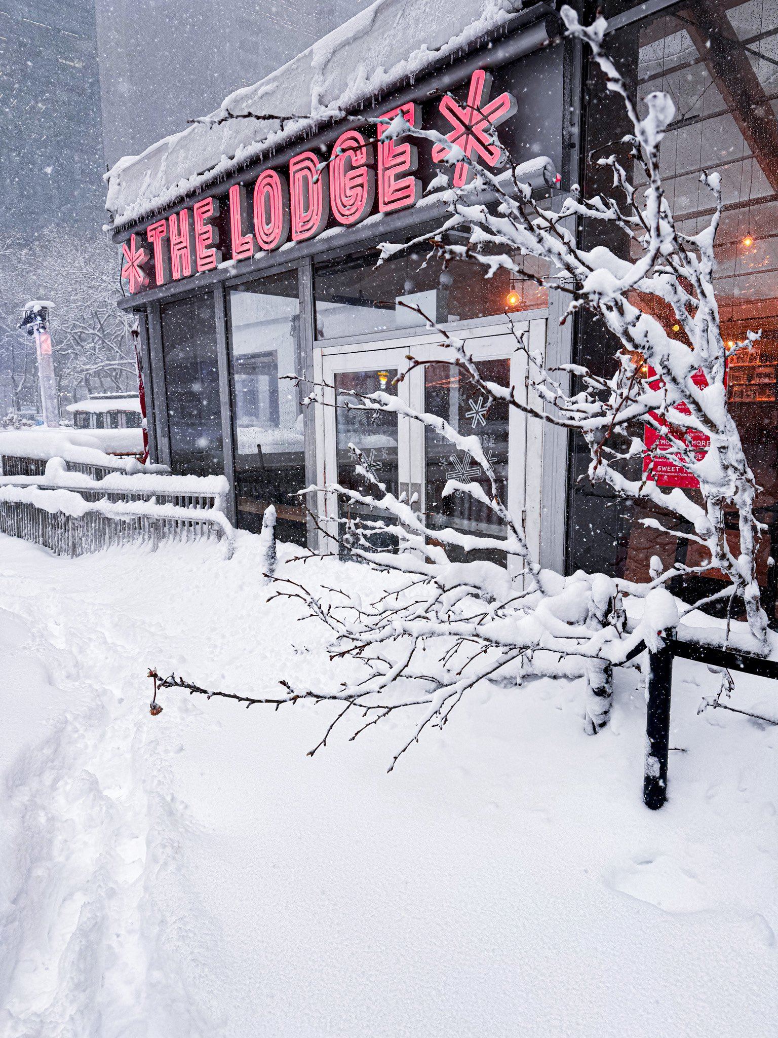 Blizzard Leaves New York Paralyzed