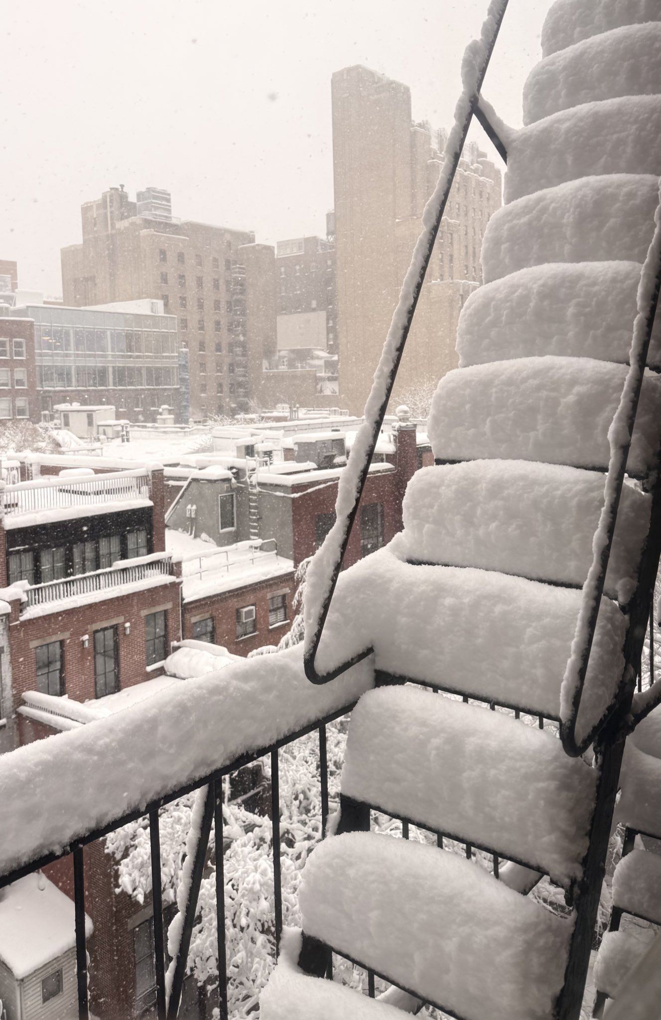 Blizzard Leaves New York Paralyzed