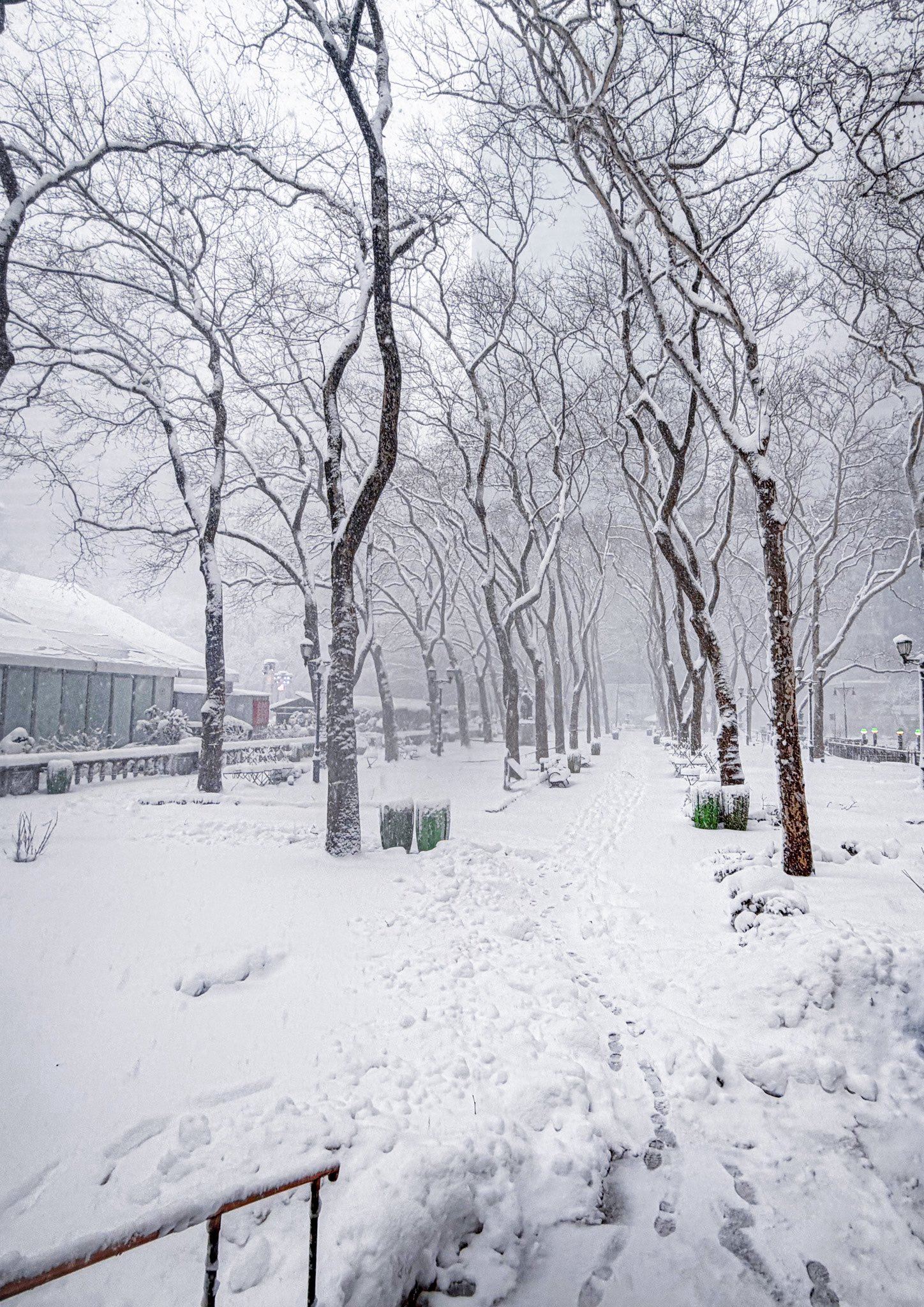 Blizzard Leaves New York Paralyzed