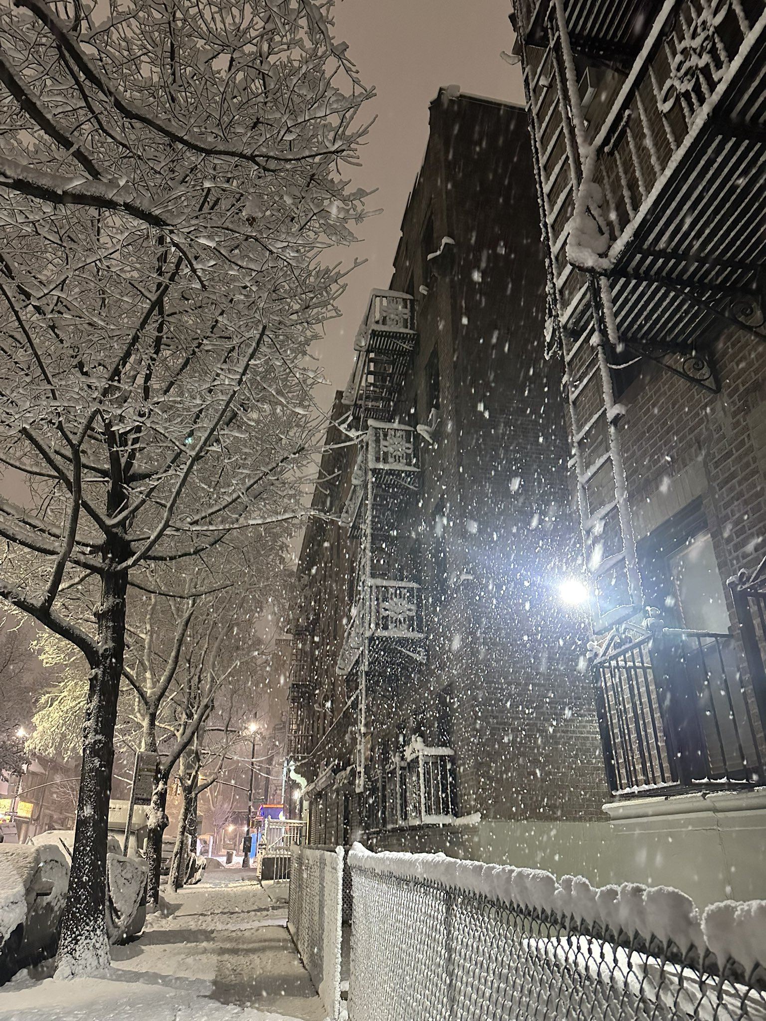 Blizzard Leaves New York Paralyzed