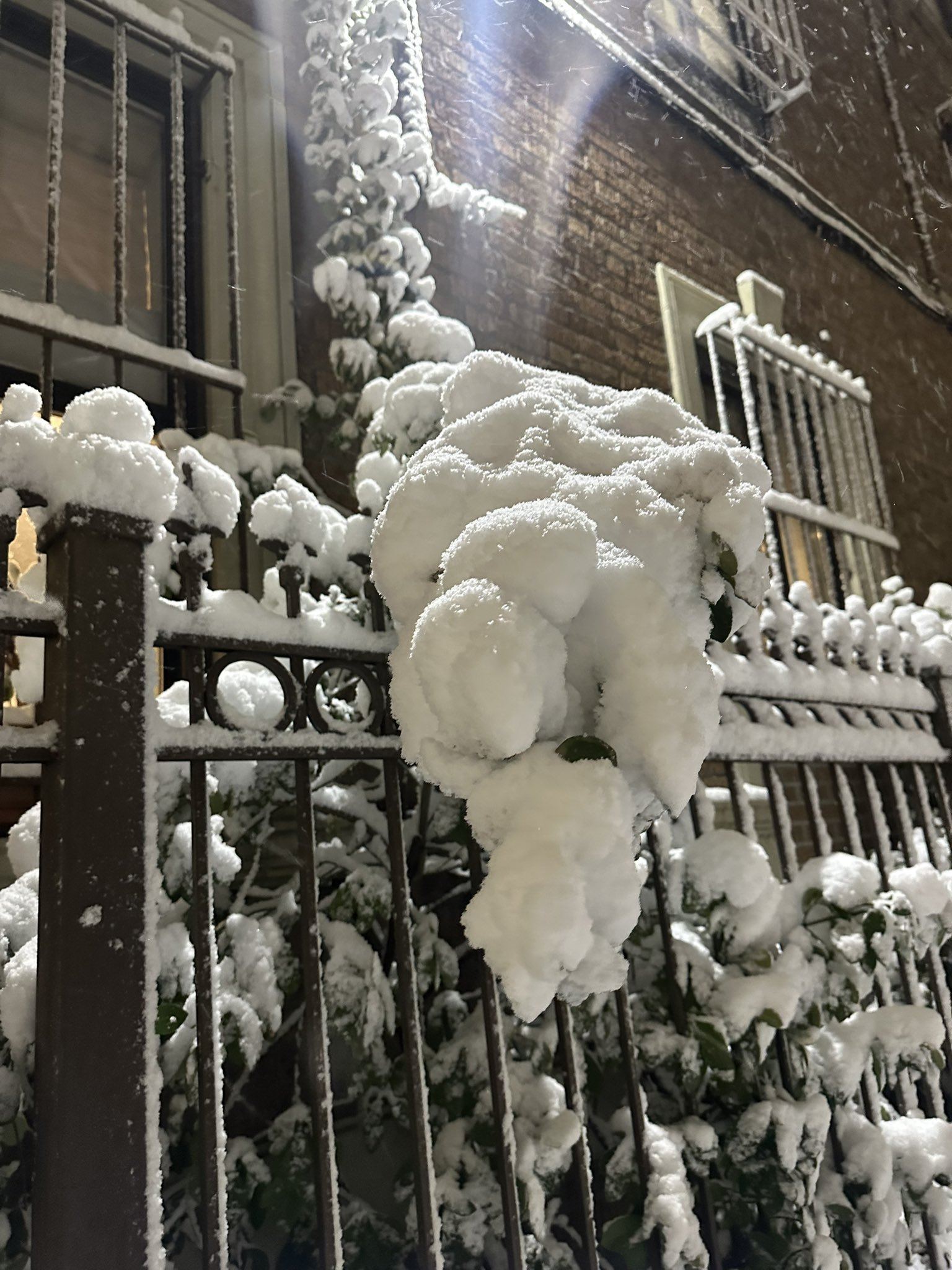 Blizzard Leaves New York Paralyzed