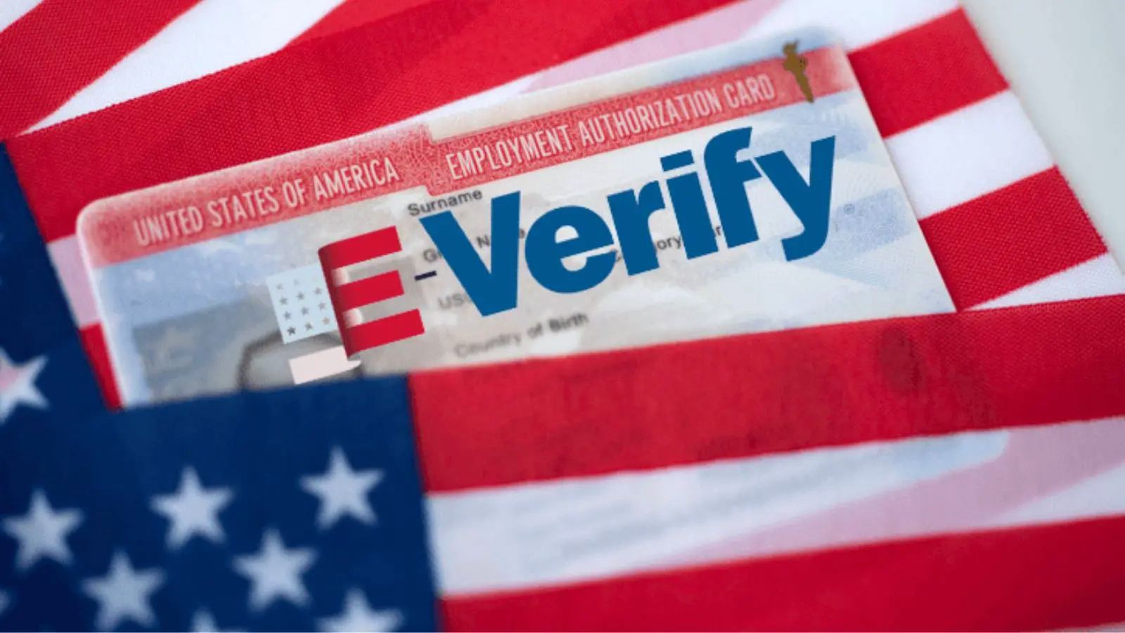 E-Verify STEM OPT job termination case