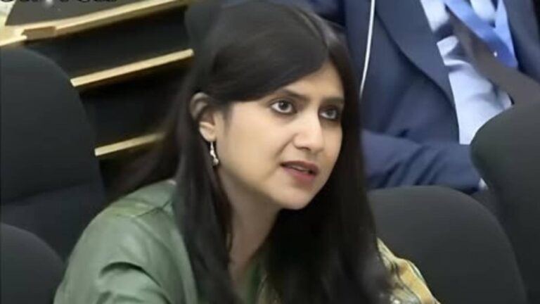 India Slams Pakistan Over Kashmir at UN