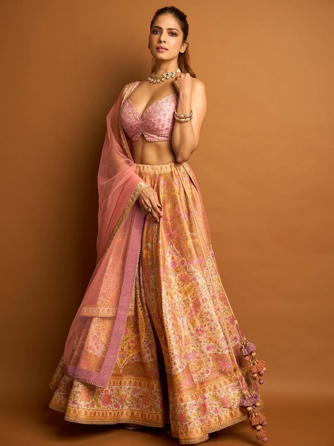 Malavika Mohanan Ethnic Style In Vibrant Outfits