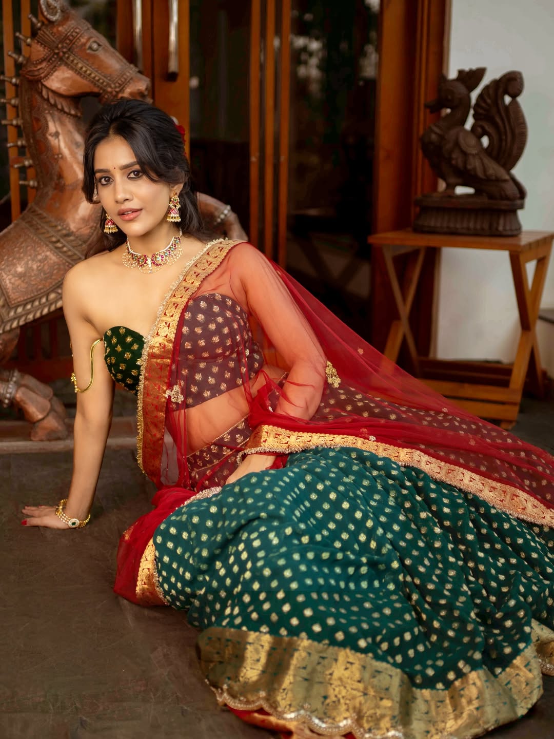 Nabha Natesh elegant saree styling indoors