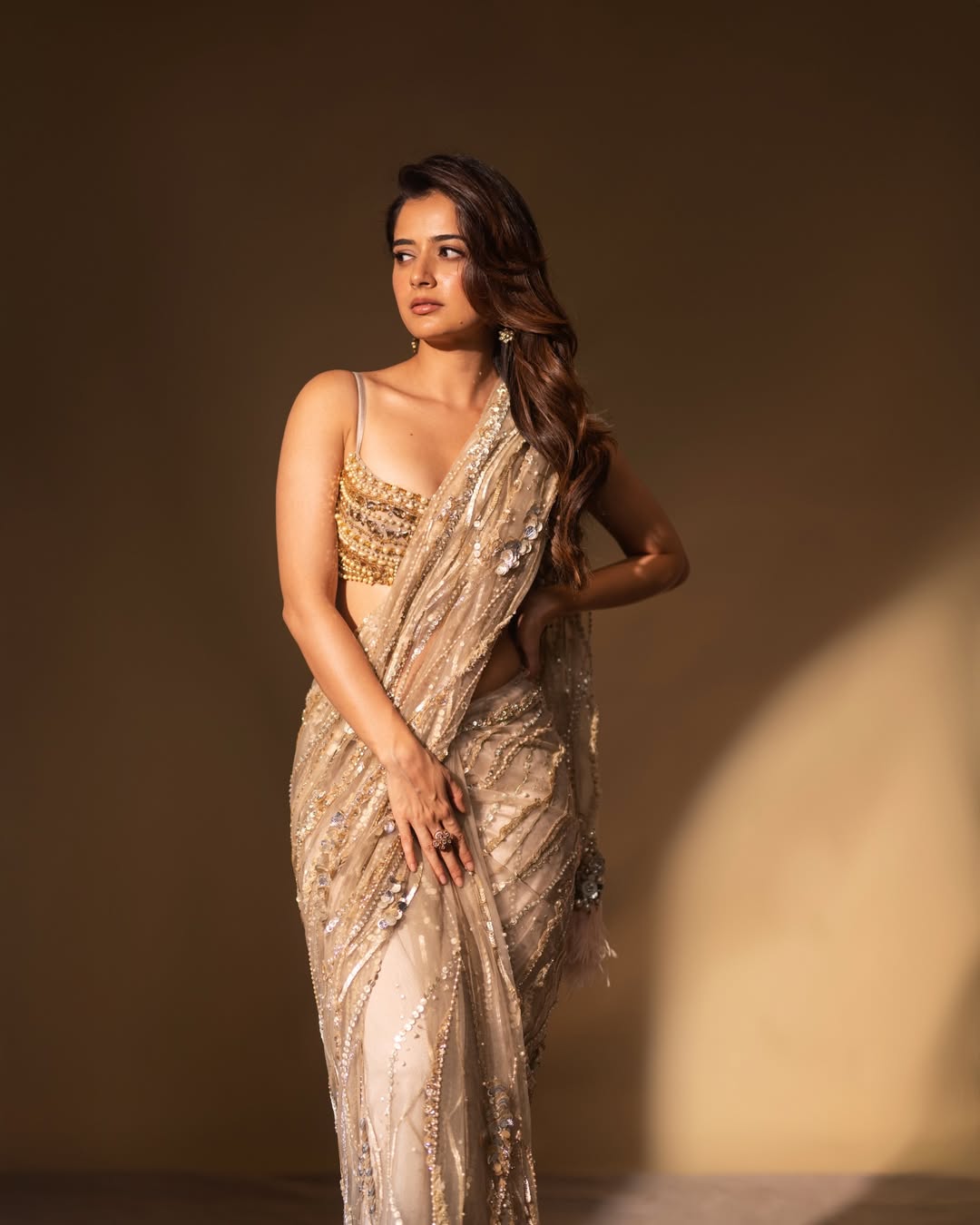 Ashika Ranganath Bold Pose In Shimmering Ethnic