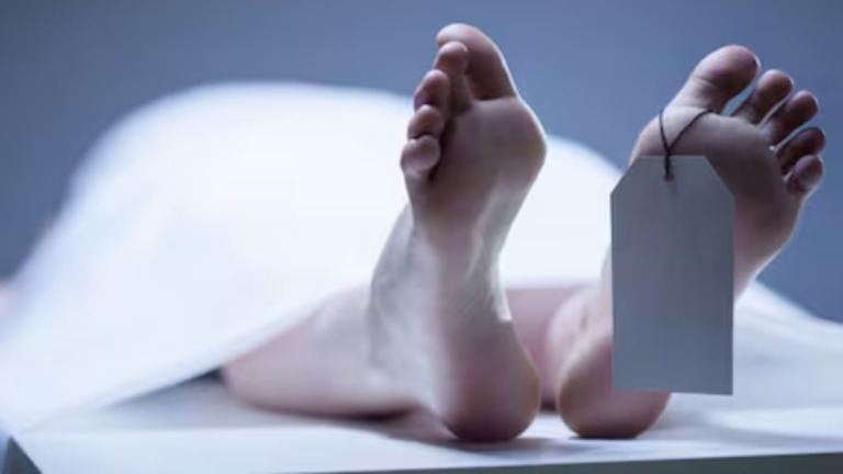 Bengaluru domestic dispute tragic incident