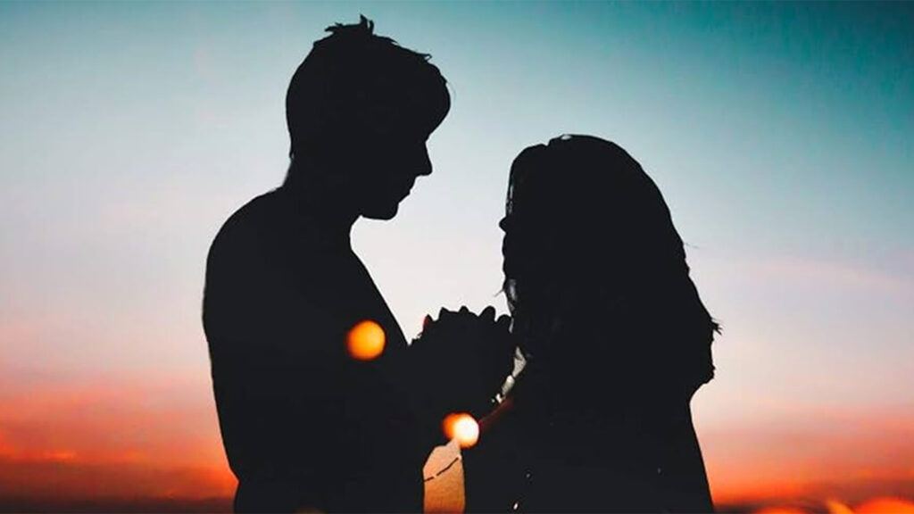 Census 2027 live-in marriage debate India