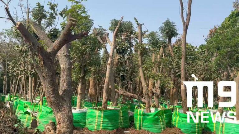 Chandrababu Naidu green development plan