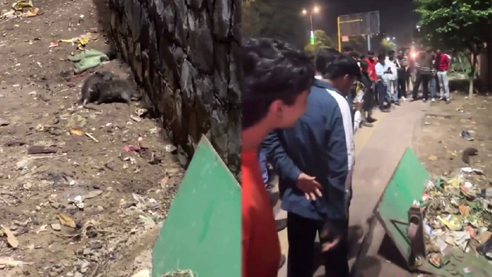 Delhi crowd watching rat fight video