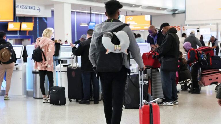 F-1 student US travel risk