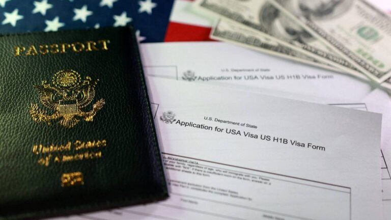 H1B visa registrations decline