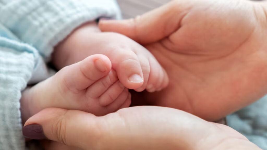 India fertility rate decline map comparison
