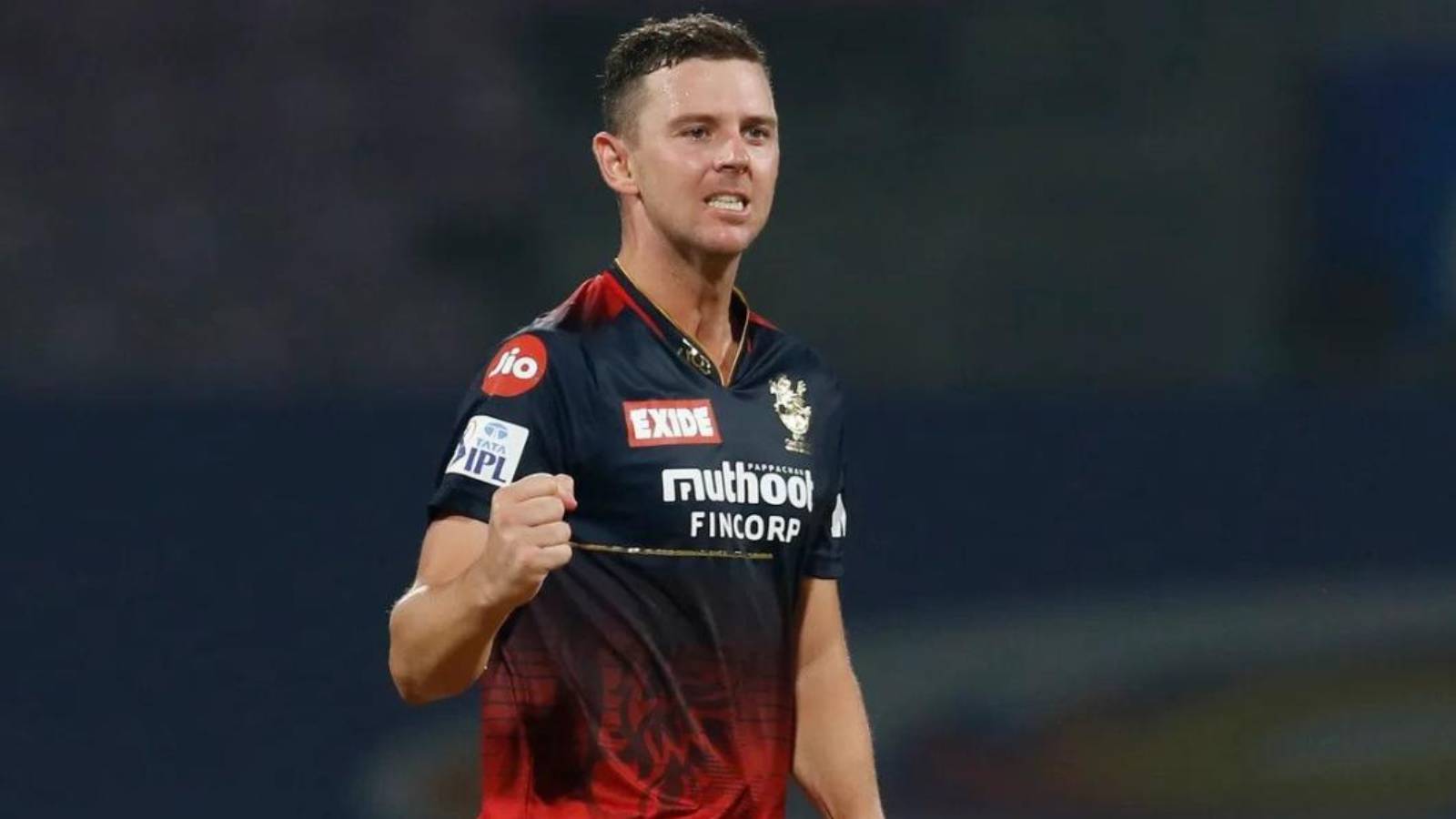 Josh Hazlewood IPL injury update
