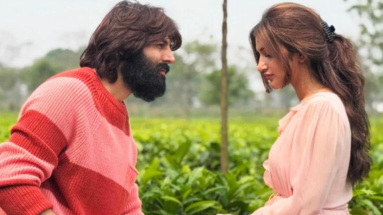 Kartik Aaryan Sreeleela film update