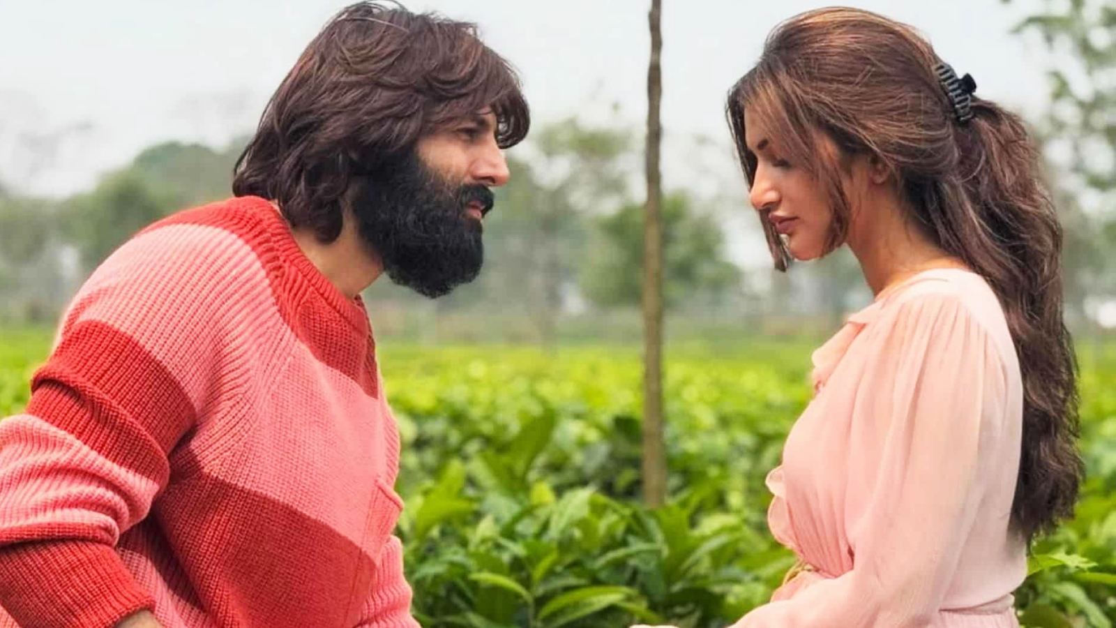 Kartik Aaryan Sreeleela film update