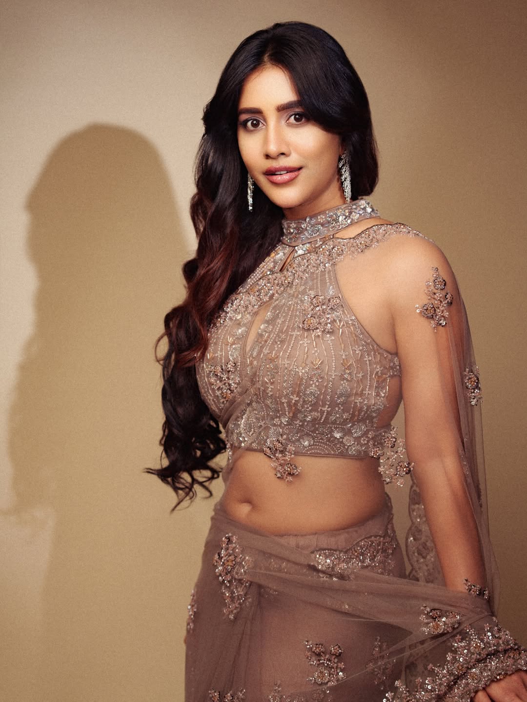 Nabha Natesh Flaunts A Bold Embellished Blouse