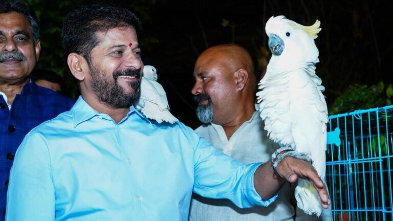 Revanth Reddy Hyderabad development vision