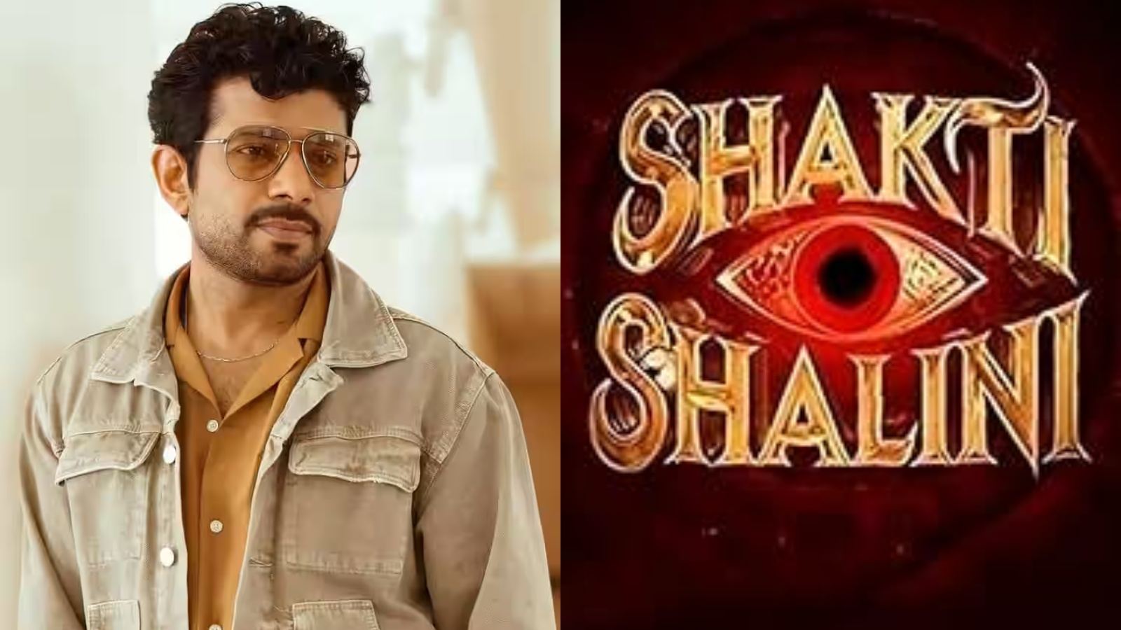 shakti-shalini-viineet-kumar-singh-villain-casting-update