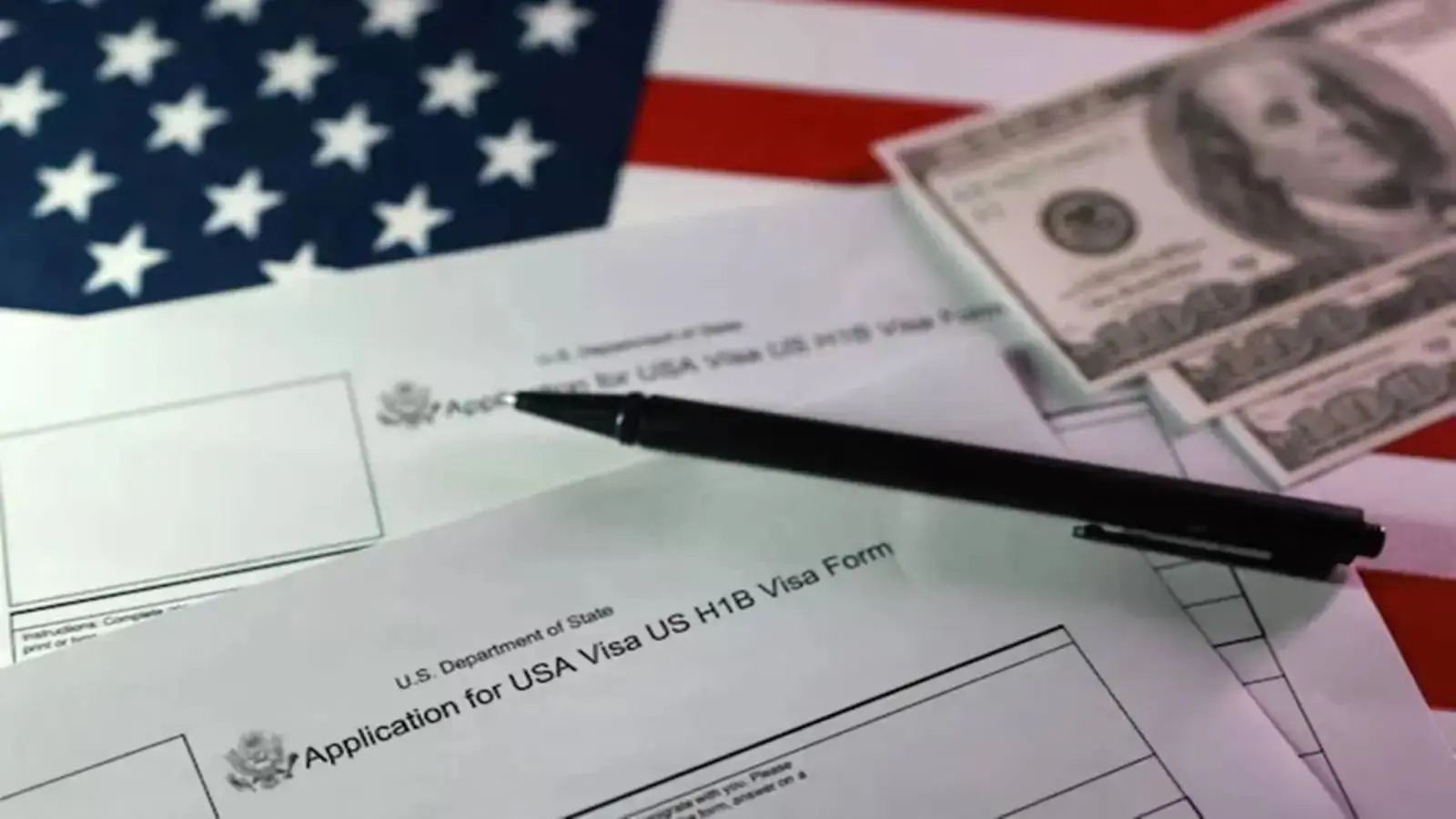 STEM OPT worker facing H-1B career decision