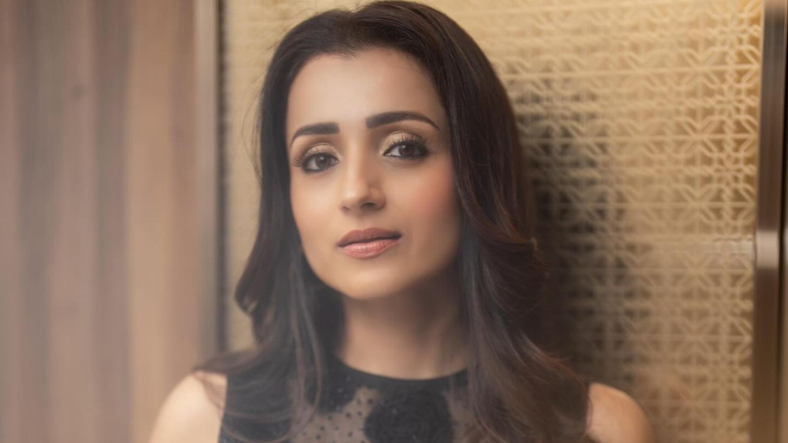 Trisha politics TVK rumours