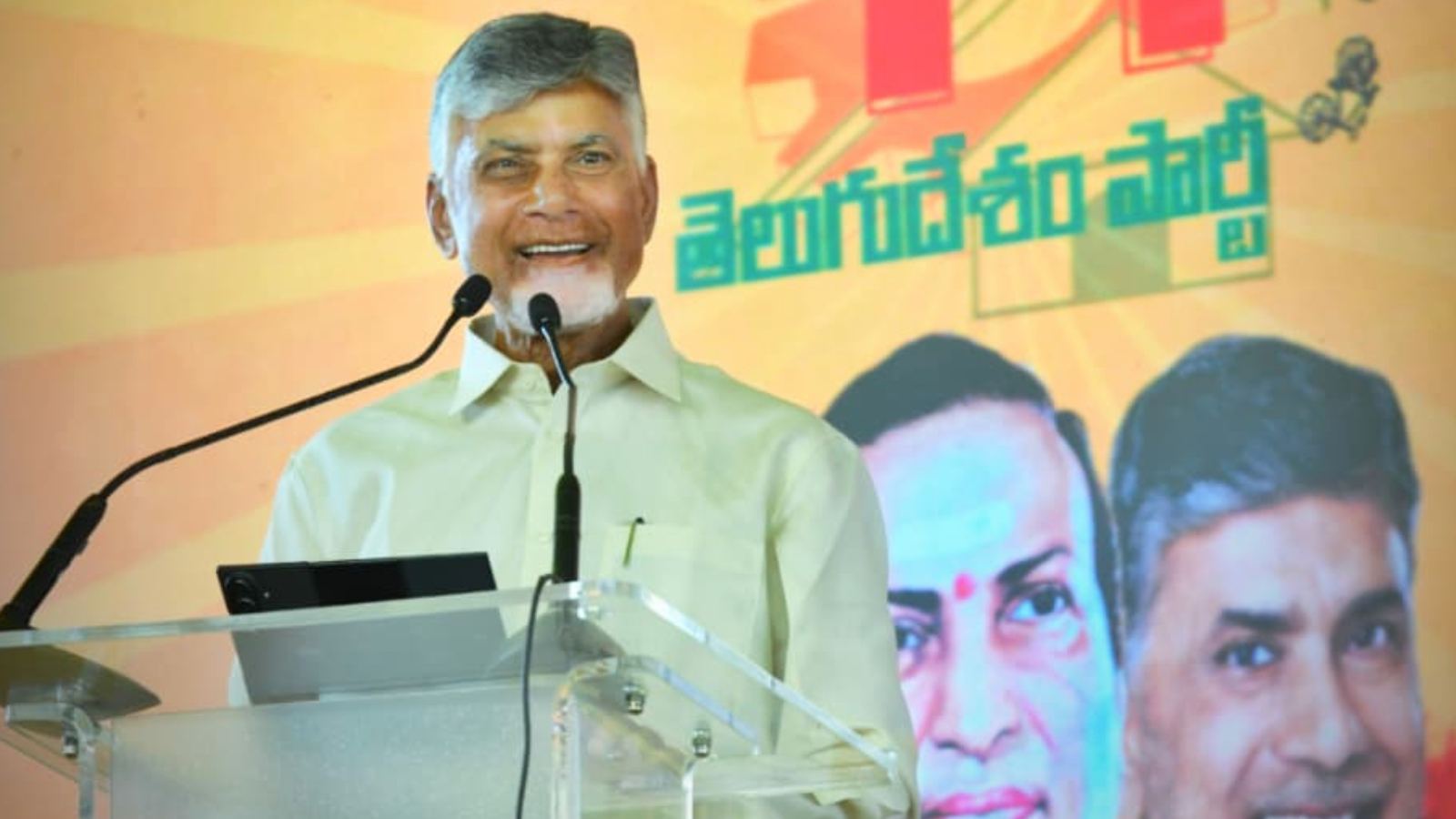 Chandrababu Naidu power reform