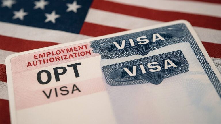 F1 OPT layoff visa stress situation