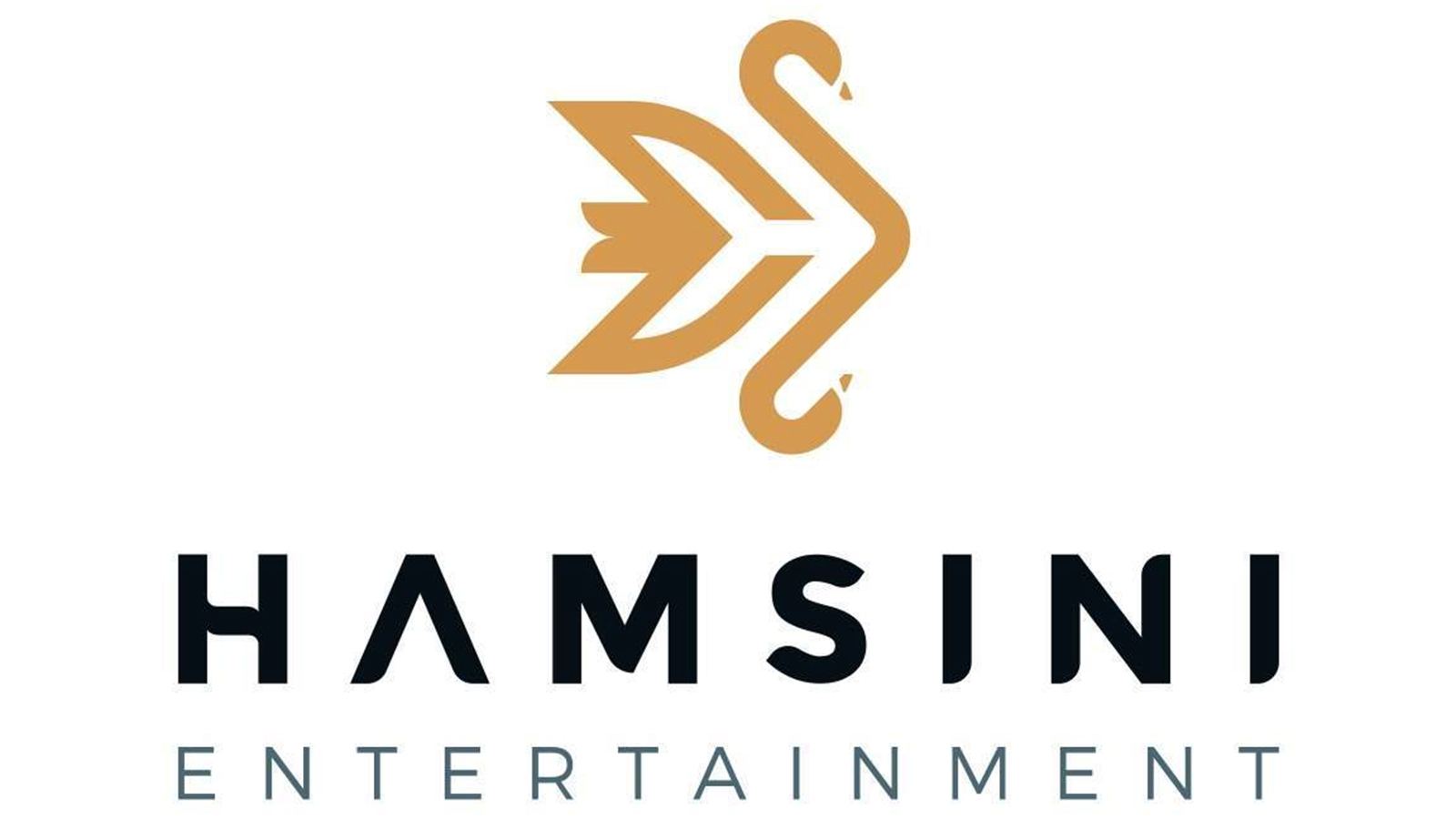 Hamsini Entertainment UK financial crisis update