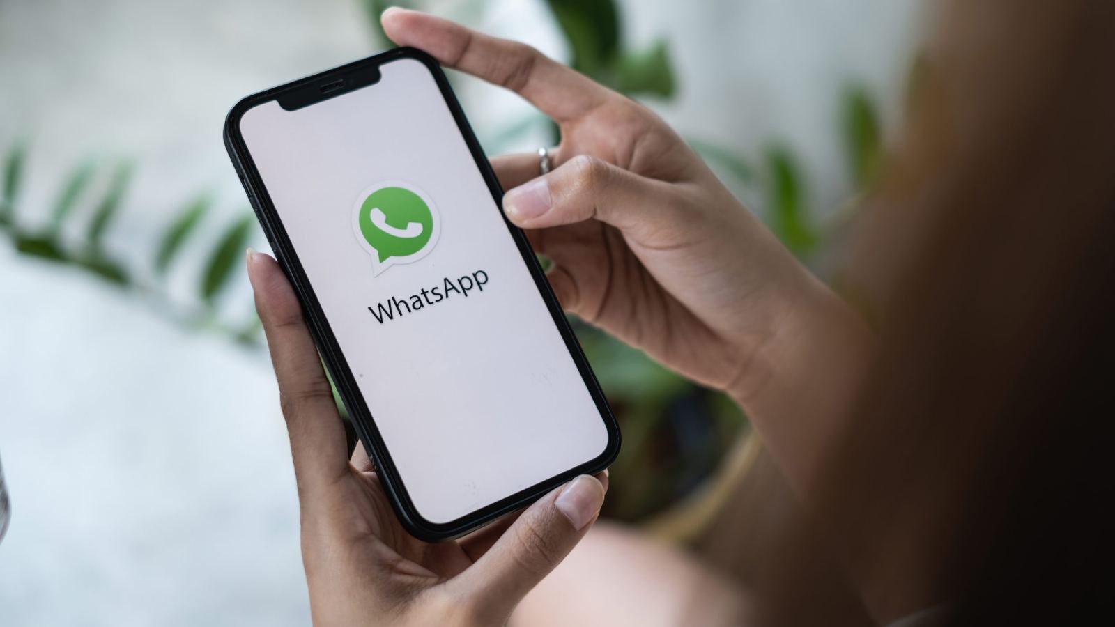 WhatsApp username messaging