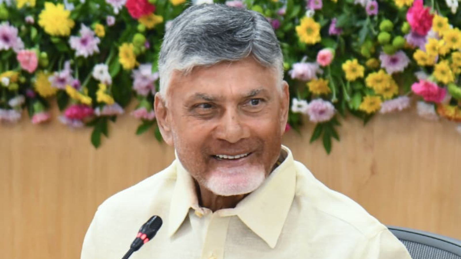 Chandrababu Naidu AI governance