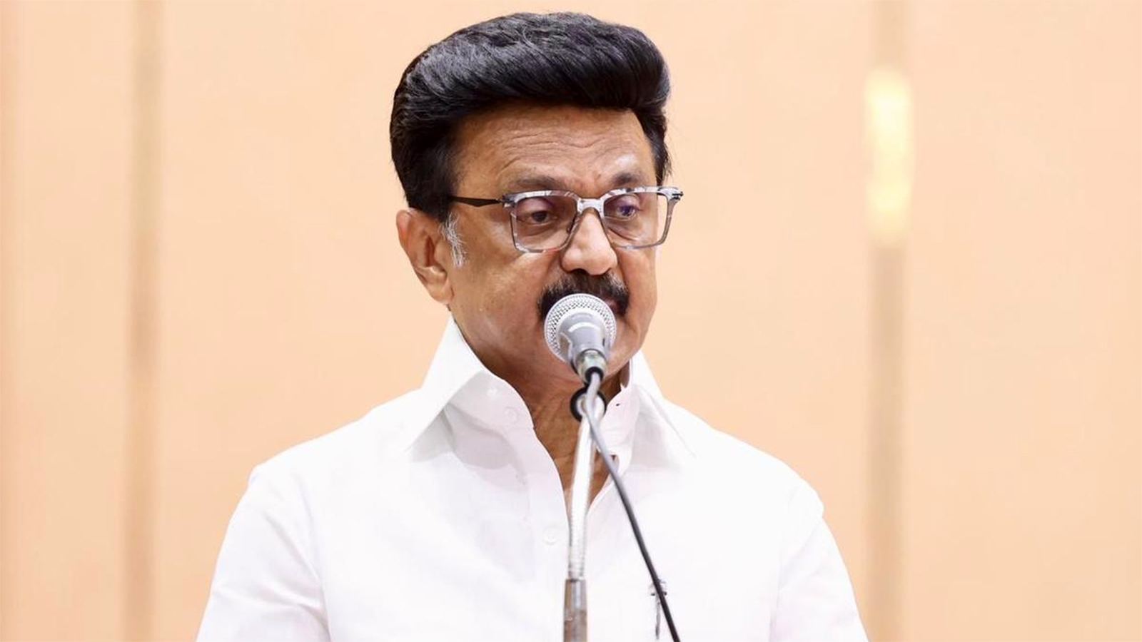 dmk-stalin-social-media-elections