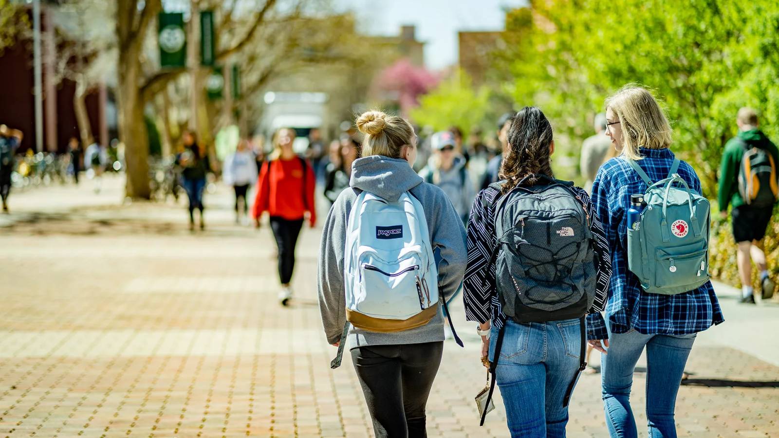 F-1 Student Visas Drop 20%: US Colleges Expect Worse