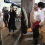CM Vijay and Trisha Simply Don’t Care: Politically Right?