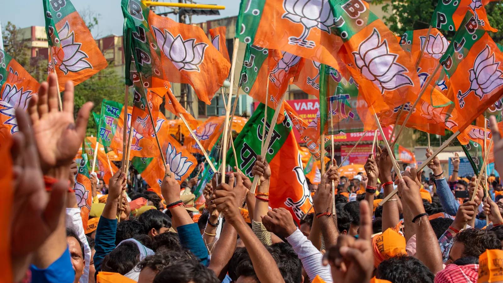 BJP Tamil Nadu leadership developments