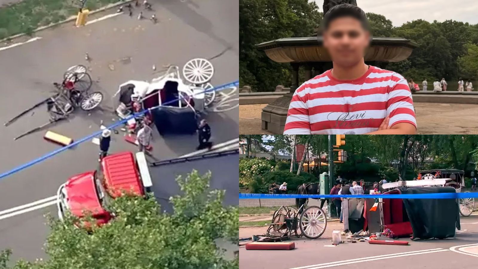 Central Park carriage accident tragedy