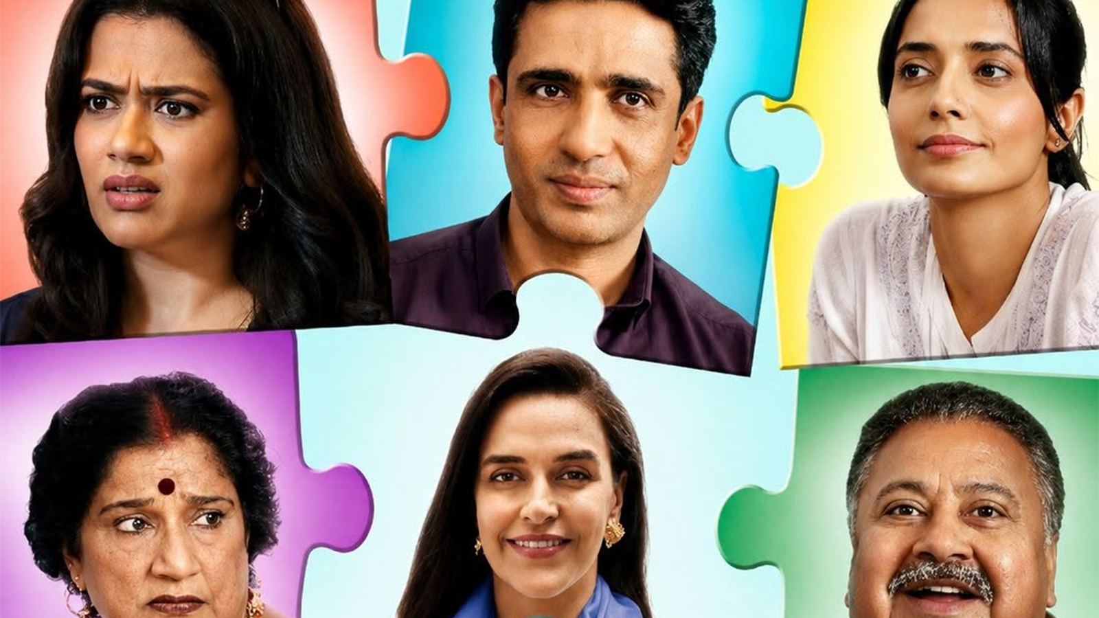 Perfect Family Sony LIV series cast