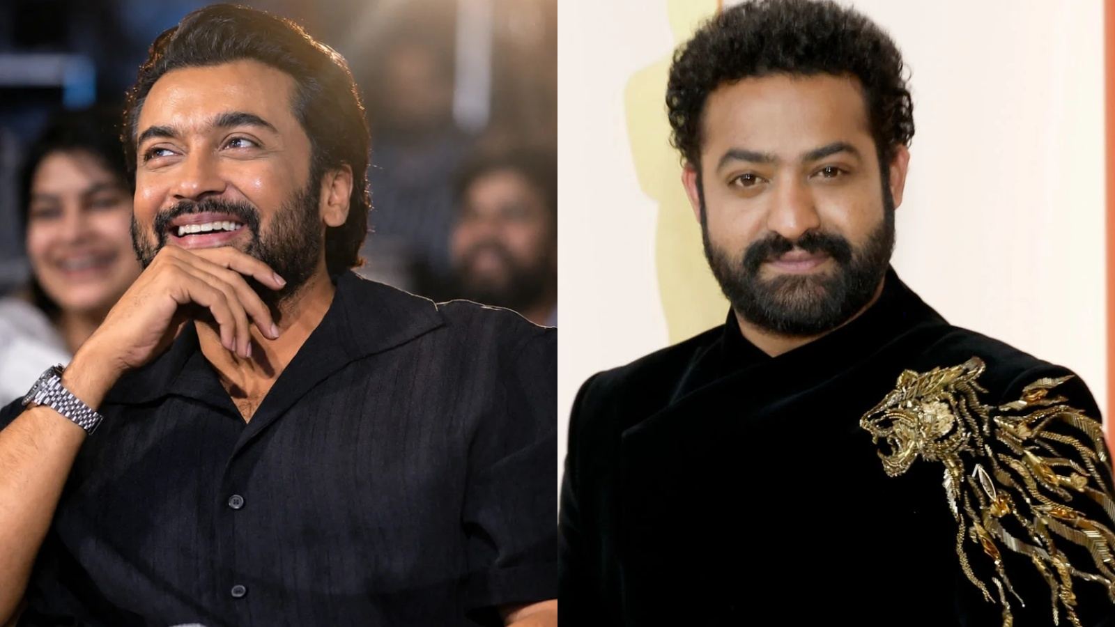 Suriya Nelson Dilipkumar speculation