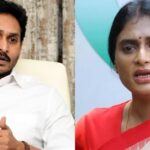 షర్మిలకు జగనే రాజ్యసభ సీటు ఇప్పించుకొని ఉంటే..