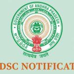 మెగా డీఎస్సీ: వేలమంది జీవితాలలో వెలుగులు నింపితే ఆరోపణలు, ఆందోళనలా?