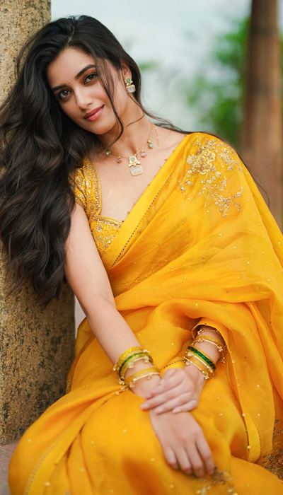 Bhagyashri Borse Striking Edgy Saree Pose