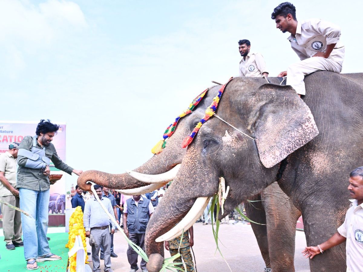 Pawan Kalyan flags off Kunki elephants