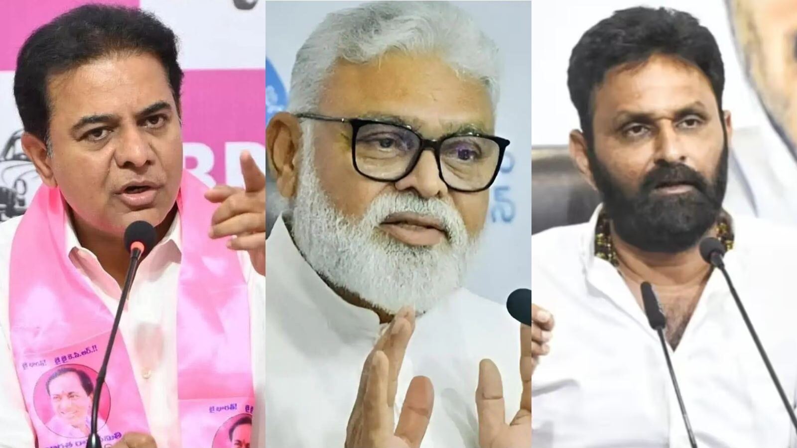 Political language debate in India